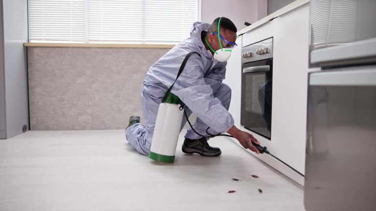 Best Residential Pest Control  in Woodburn, OR